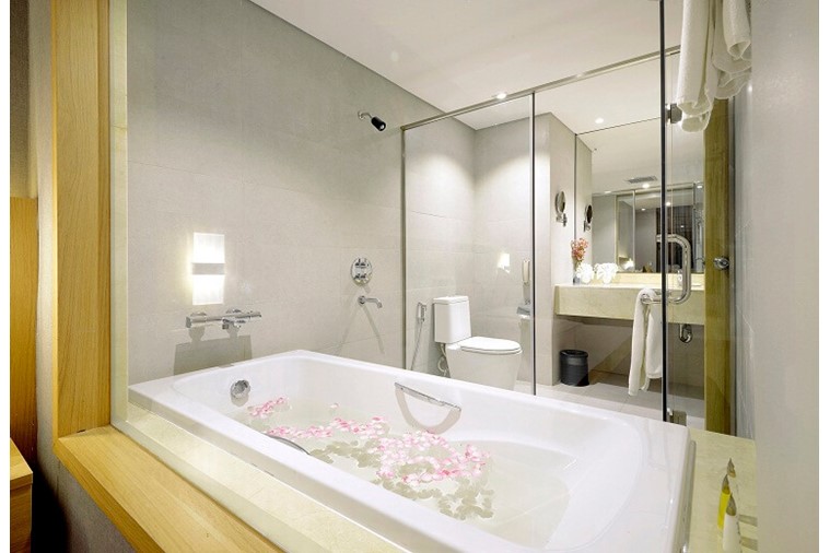 Premium with terrace